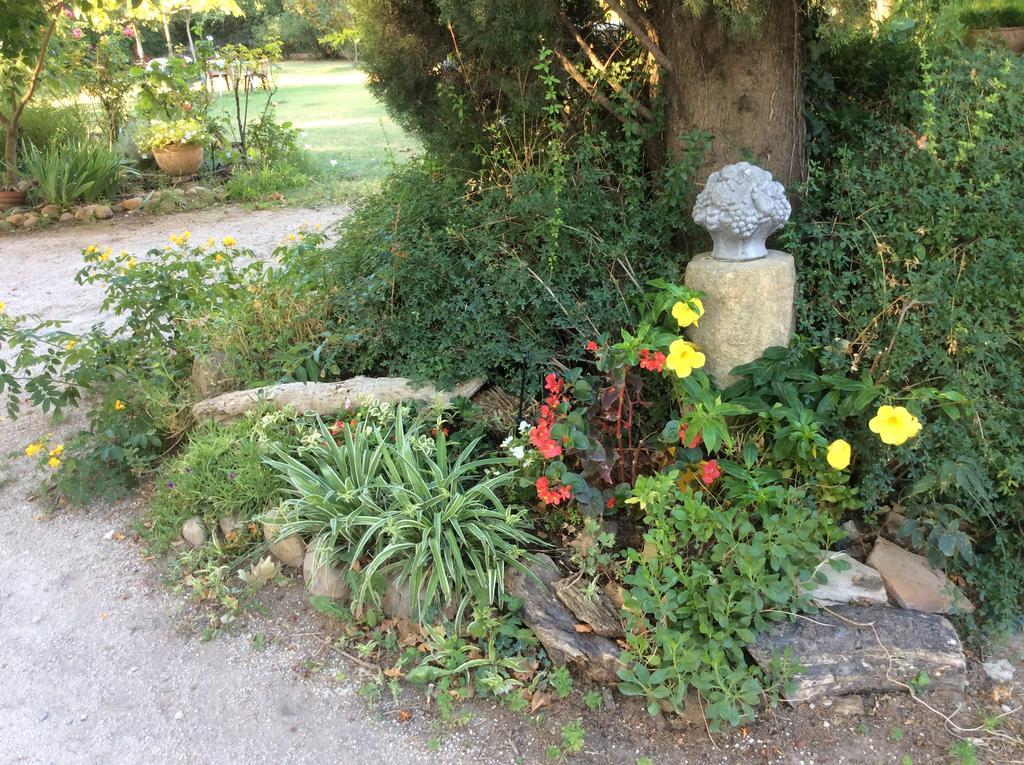 La Petite Seigneurette Villeneuve-lès-Avignon Exterior foto
